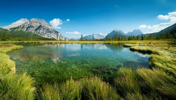 Quels sont les impacts de la culture locale sur l'expérience touristique ?