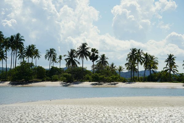 Les dérives du tourisme de croisière : une analyse percutante et engagée